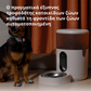 Pet Feeder C1