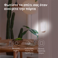 Aqara Door and Window Sensor